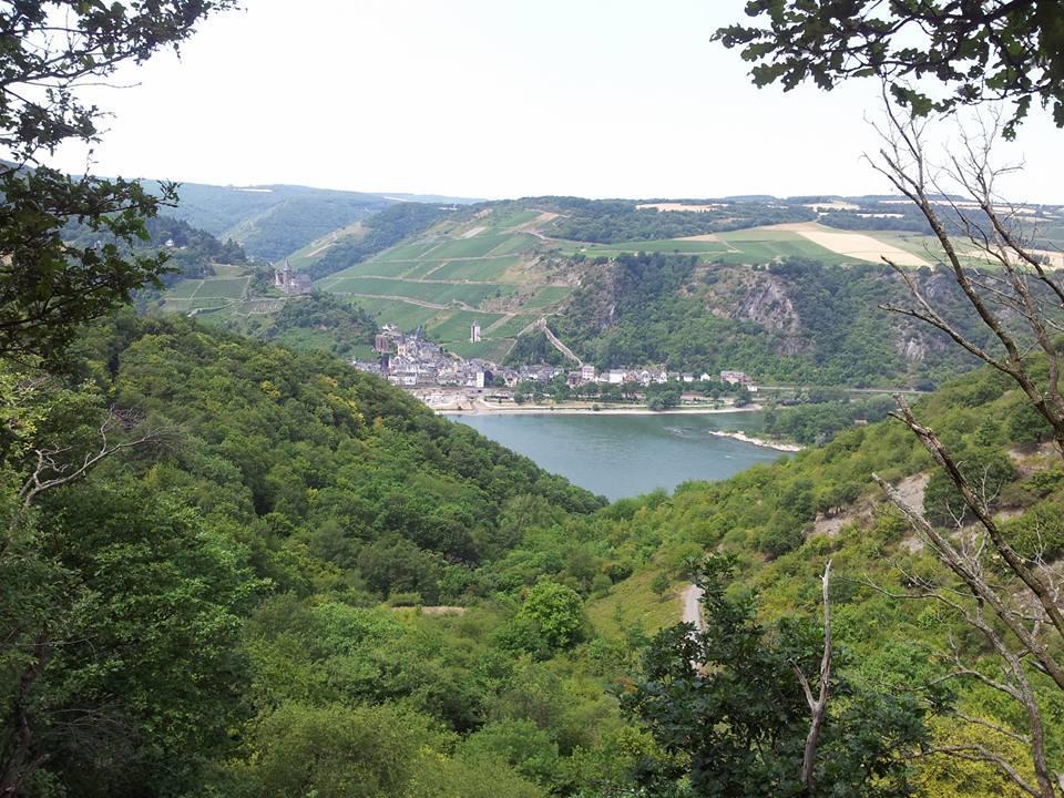 Hotel Am Markt Bacharach Dış mekan fotoğraf